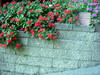 DSCN5451.JPG