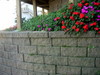 DSCN5453.JPG