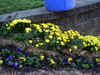 DSCN5454.JPG