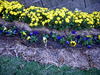 DSCN5456.JPG