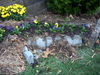 DSCN5457.JPG