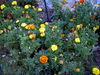 DSCN5458.JPG