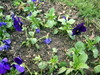 DSCN5459.JPG