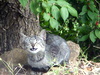 DSCN5611.JPG