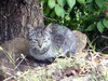 DSCN5612.JPG