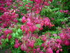 DSCN5617.JPG
