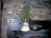 DSCN1741.JPG