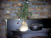 DSCN1742.JPG