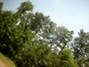 DSCN0733.JPG