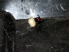 DSCN0815.JPG