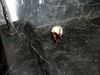 DSCN0816.JPG