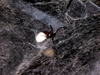 FSCN0857.JPG