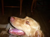 DSCN4789.jpg