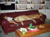 DSCN5076.jpg