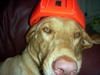 DSCN5077.jpg