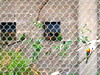 DSCN5709.jpg