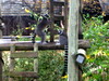 DSCN5712.jpg
