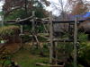 DSCN5713.jpg