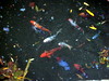 DSCN5715.jpg