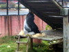DSCN5716.jpg