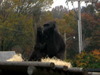 DSCN5717.jpg