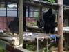 DSCN5718.jpg
