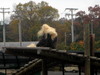 DSCN5719.jpg