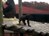 DSCN5721.jpg