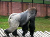 DSCN5722.jpg