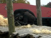 DSCN5724.jpg
