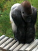 DSCN5725.jpg