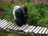 DSCN5726.jpg