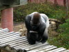 DSCN5727.jpg