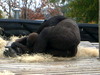 DSCN5728.jpg
