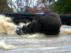 DSCN5729.jpg