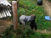 DSCN5730.jpg