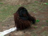 DSCN5732.jpg