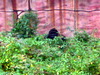 DSCN5733.jpg