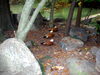 DSCN5734.jpg