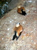 DSCN5735.jpg