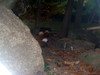 DSCN5736.jpg