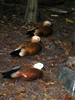DSCN5737.jpg