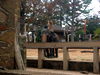 DSCN5739.jpg