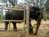 DSCN5741.jpg