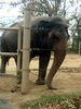 DSCN5742.jpg