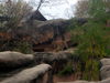 DSCN5743.jpg