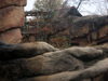 DSCN5744.jpg