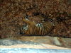 DSCN5747.jpg