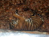 DSCN5748.jpg