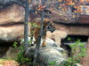DSCN5750.jpg
